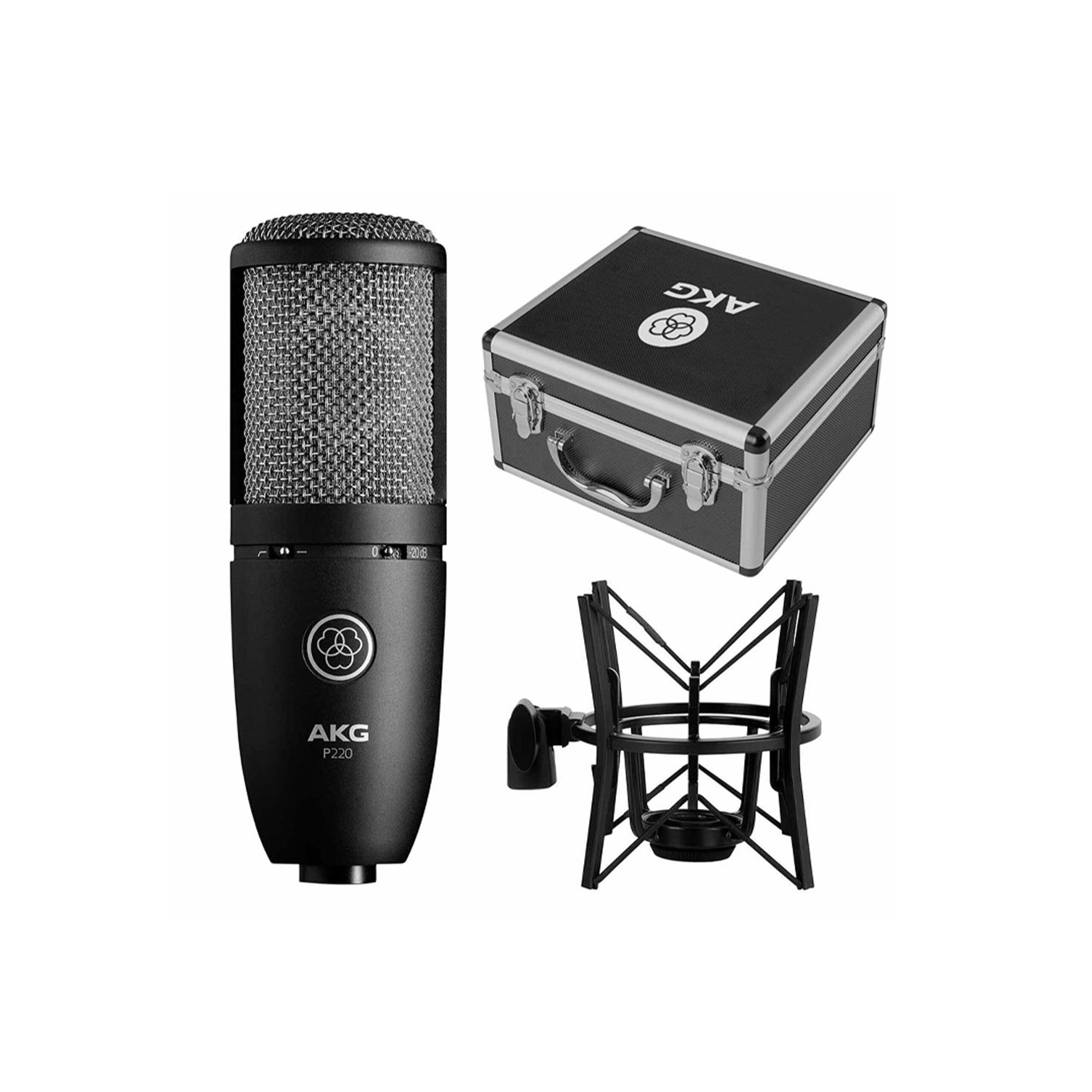 Micro Condenser AKG P220 - Ảnh 5