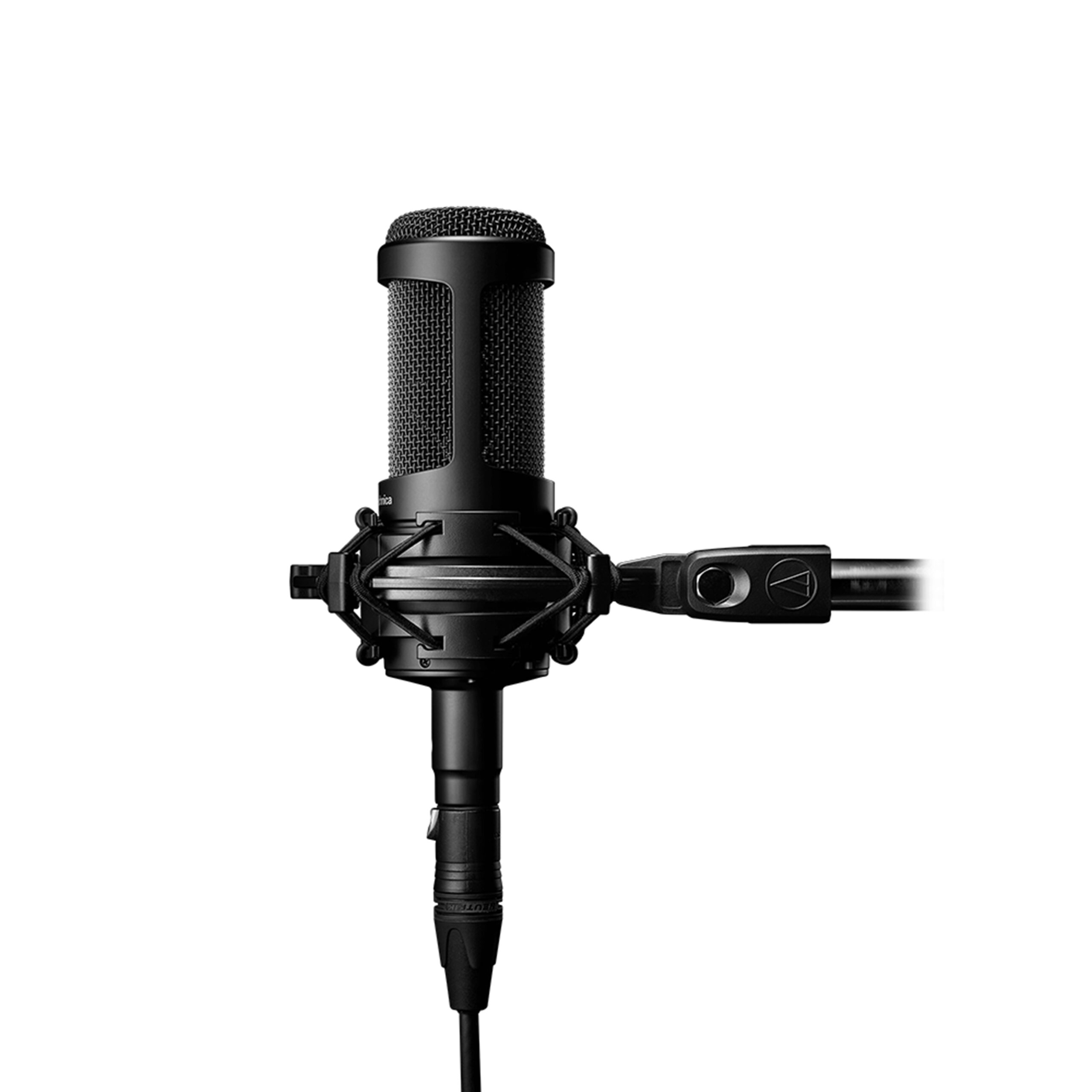 Micro Condenser Audio-technica AT2050 - Ảnh 4