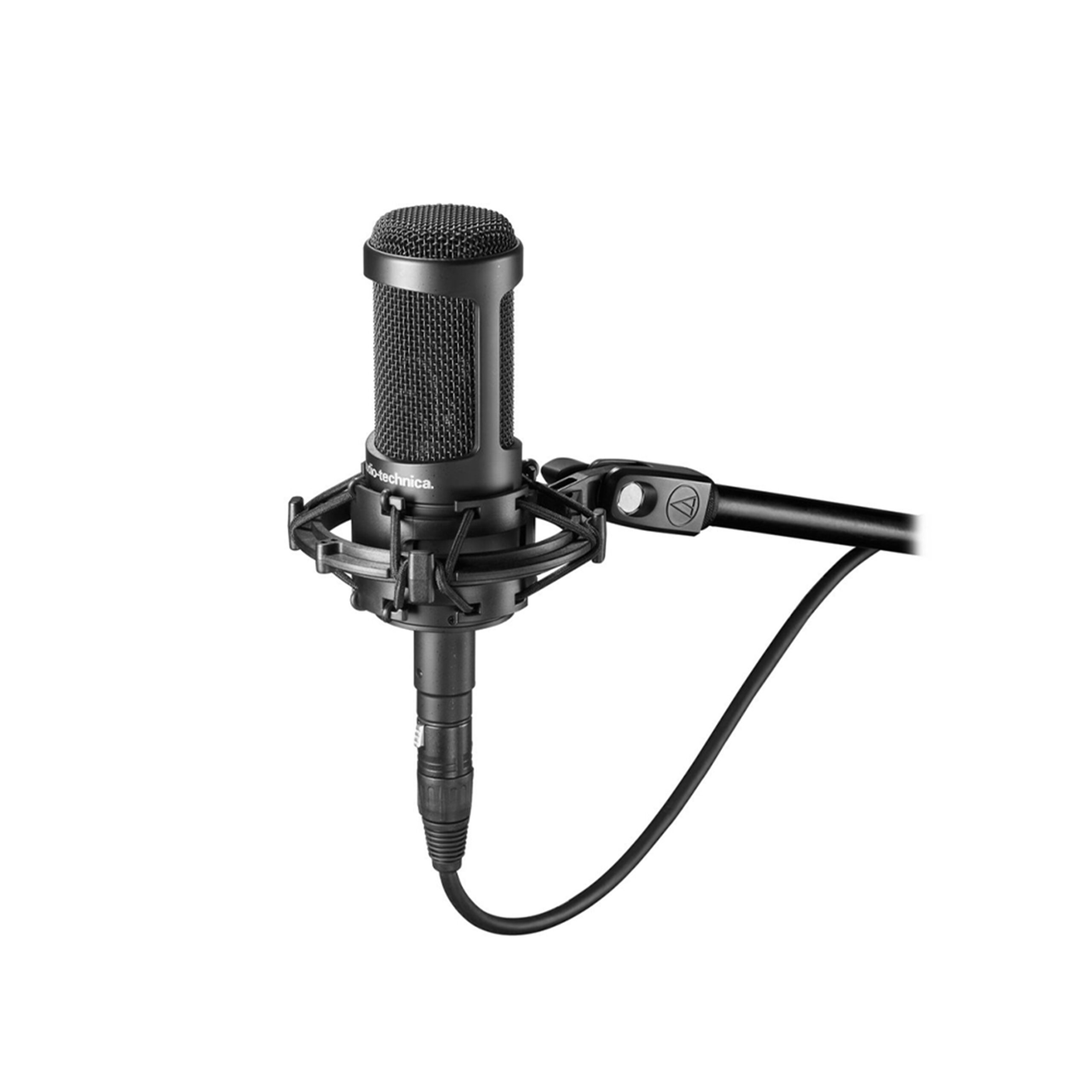 Micro Condenser Audio-technica AT2050 - Ảnh 5